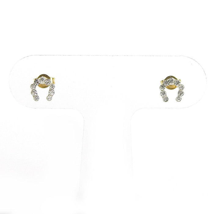 ホースシューピアス