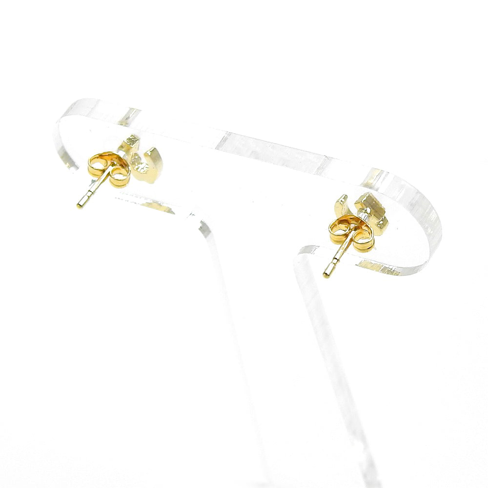 ホースシュー ピアス