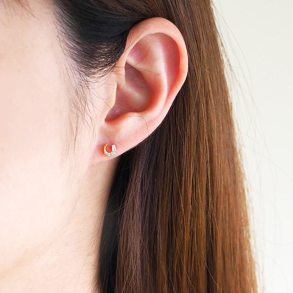 ホースシュー ピアス