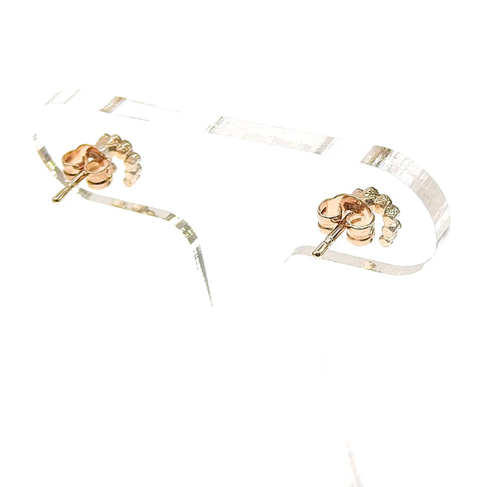 ホースシューピアス