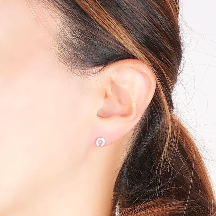 ホースシューピアス