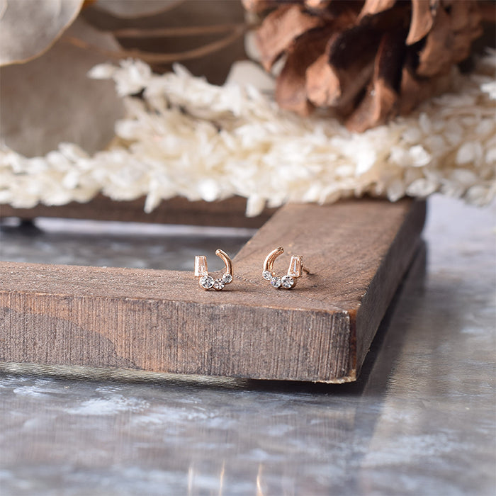 ホースシュー キュービックジルコニア ピアス