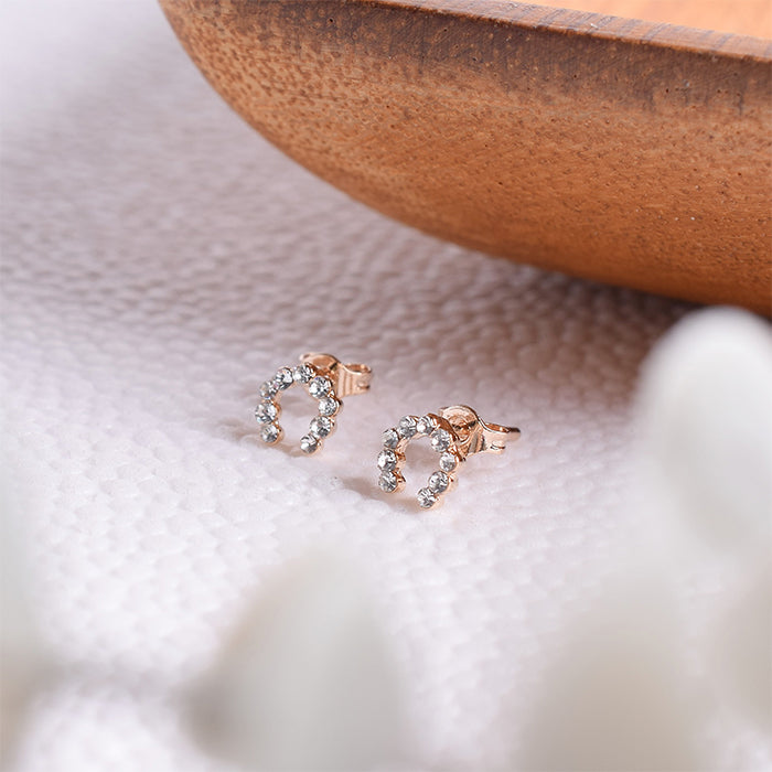 ホースシューピアス